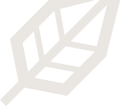 Vector